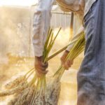 Kandungan Sorgum Yang Setara Dengan Bahan Pangan Lainnya